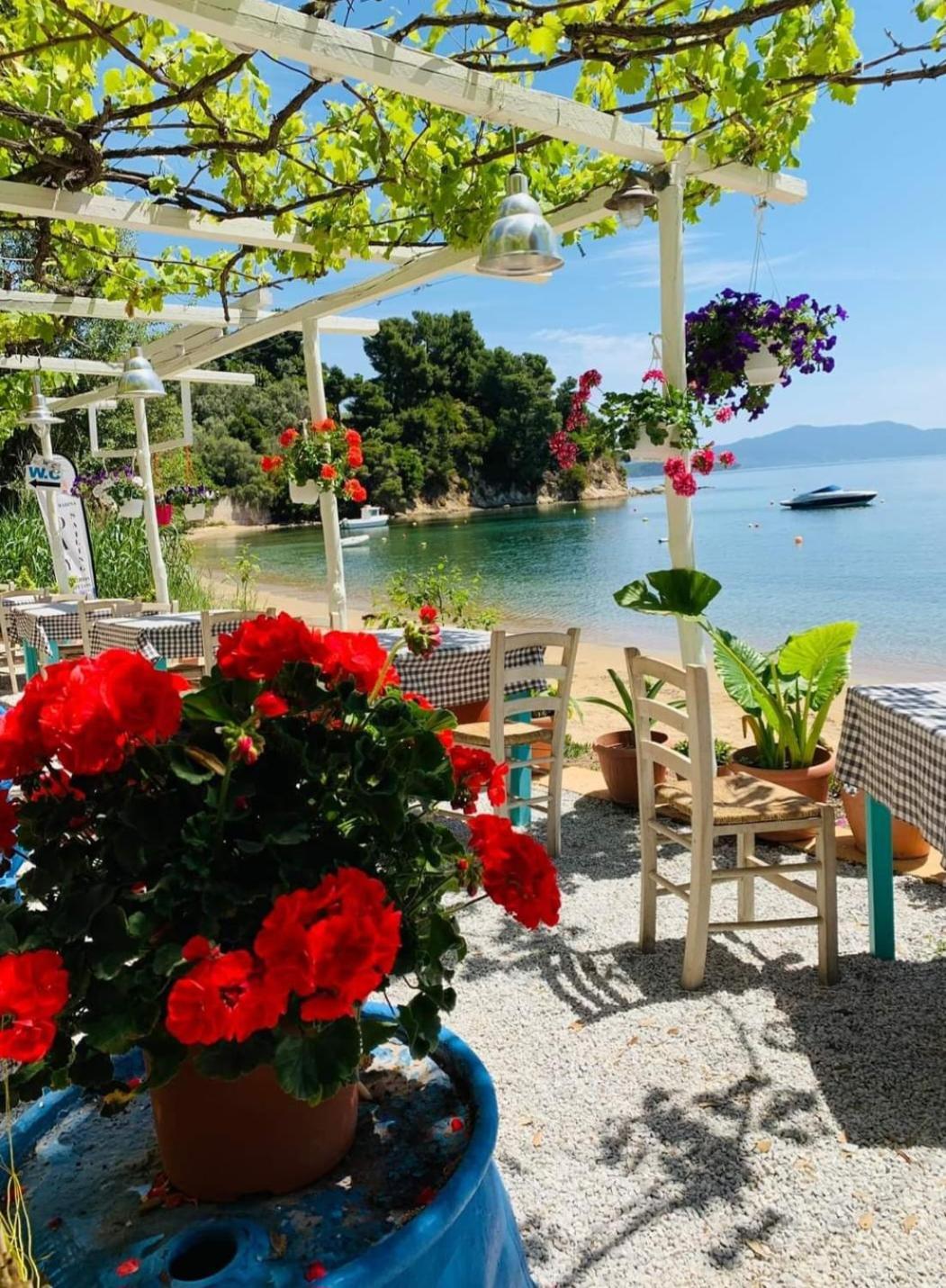 Angel Studio Apartment Skiathos Town Luaran gambar